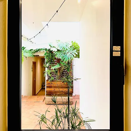 Nanit Rooms Ibiza Hostal-2